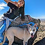 girl, dog, rock, outdoor, blue_sky, peace_sign, casual_clothing, landscape, sunny, leash, panting, smiling, nature, hiking, scenery, animal, pet, young_person, jeans, tshirt