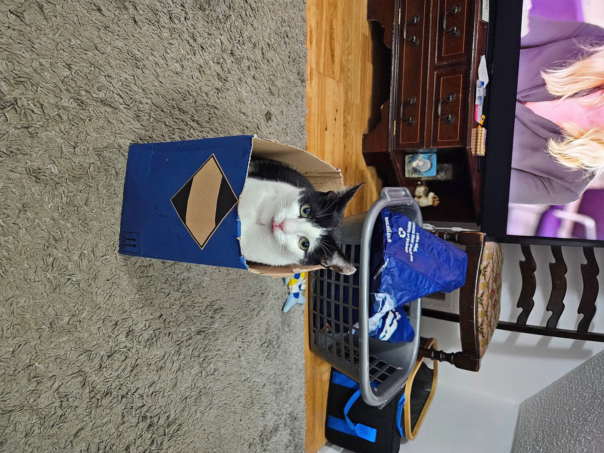 Milo is registered to the contest to win money with this photo: art, azure, building, carmine, concrete, electric_blue, facade, fashion_accessory, font, room, shadow, visual_arts, wood