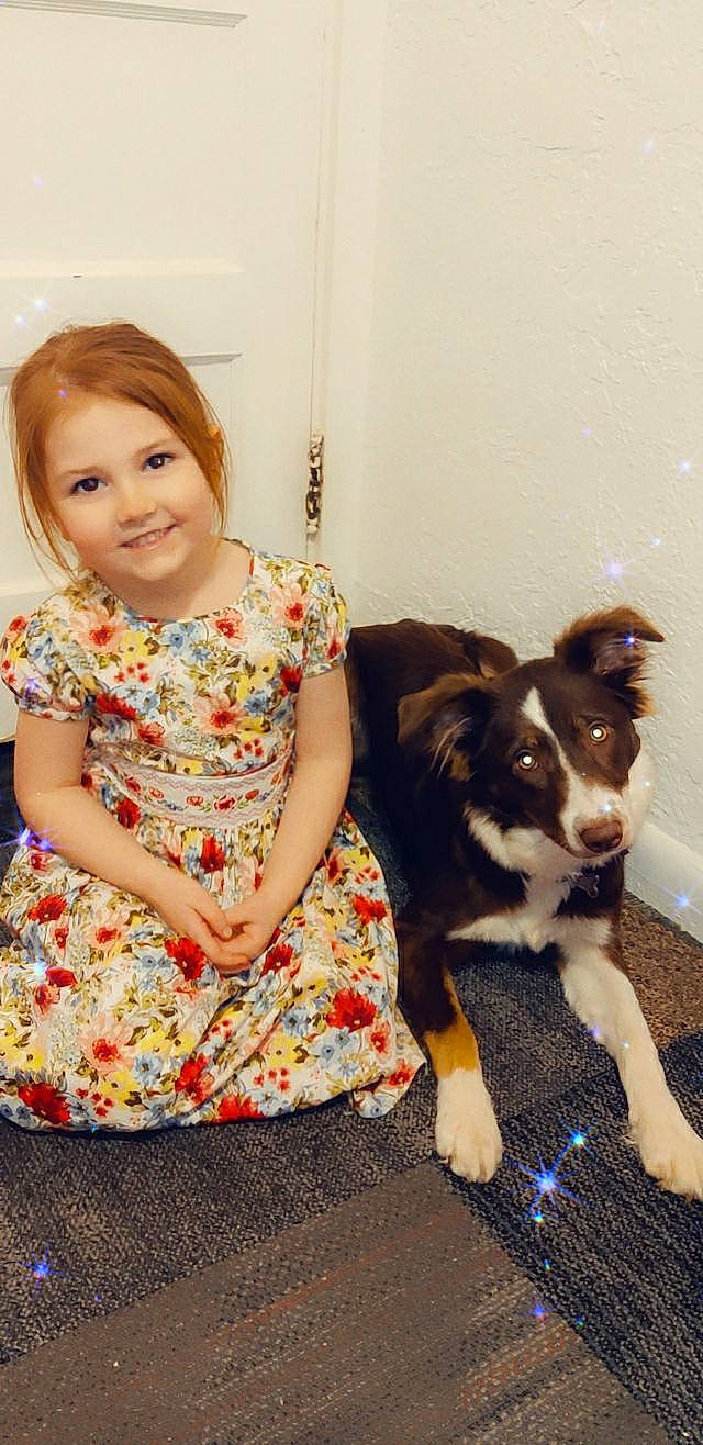 Summitt is registered to the contest to win money with this photo: baby_toddler_clothing, border_collie, carnivore, child, companion_dog, couch, day_dress, dog, dog_breed, door, fawn, fur, happy, herding_dog, joy, pattern, person, sitting, sleeve, smile