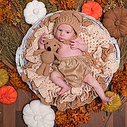 Sergio participe au concours pour gagner de l'argent avec cette photo : baby, infant, knitwear, basket, plush_toy, teddy_bear, autumn, pumpkins, decorations, blanket, cozy, cute, child, soft_texture, floor, fall_leaves, warm_colors, pose, indoors, portrait