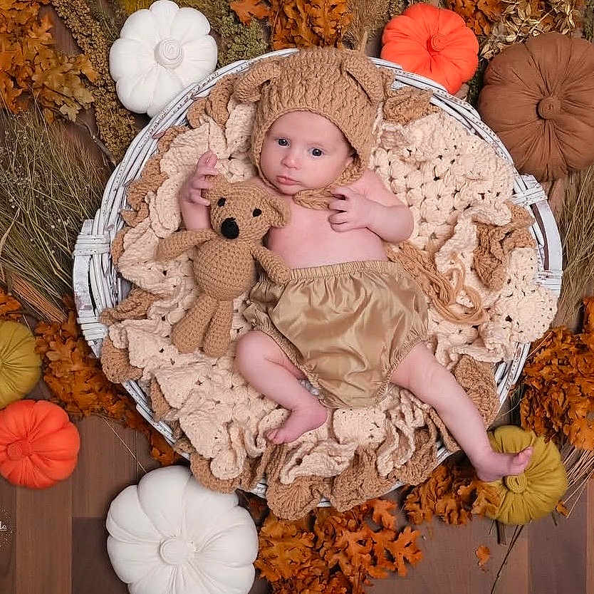 Sergio participe au concours pour gagner de l'argent avec cette photo : baby, infant, knitwear, basket, plush_toy, teddy_bear, autumn, pumpkins, decorations, blanket, cozy, cute, child, soft_texture, floor, fall_leaves, warm_colors, pose, indoors, portrait