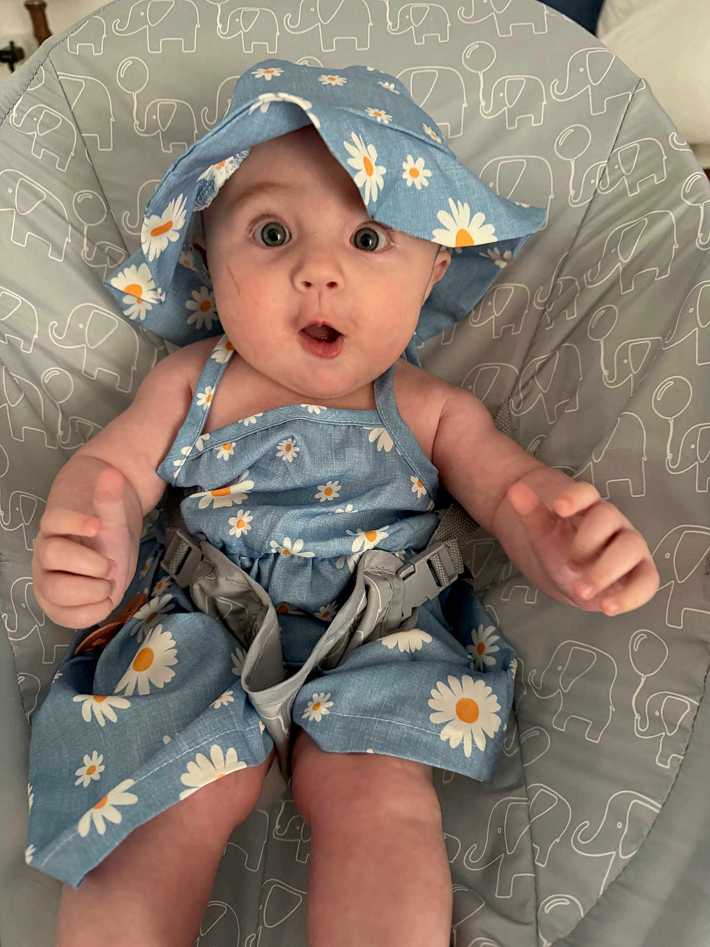 Betsy joined the competition — help win amazing prizes! baby, infant, child, blue_dress, sun_hat, daisy_pattern, seat, safety_strap, elephant_print, balloon_print, surprised_face, wide_eyes, cute, adorable, indoors, soft_lighting, person, smile, hand, legs