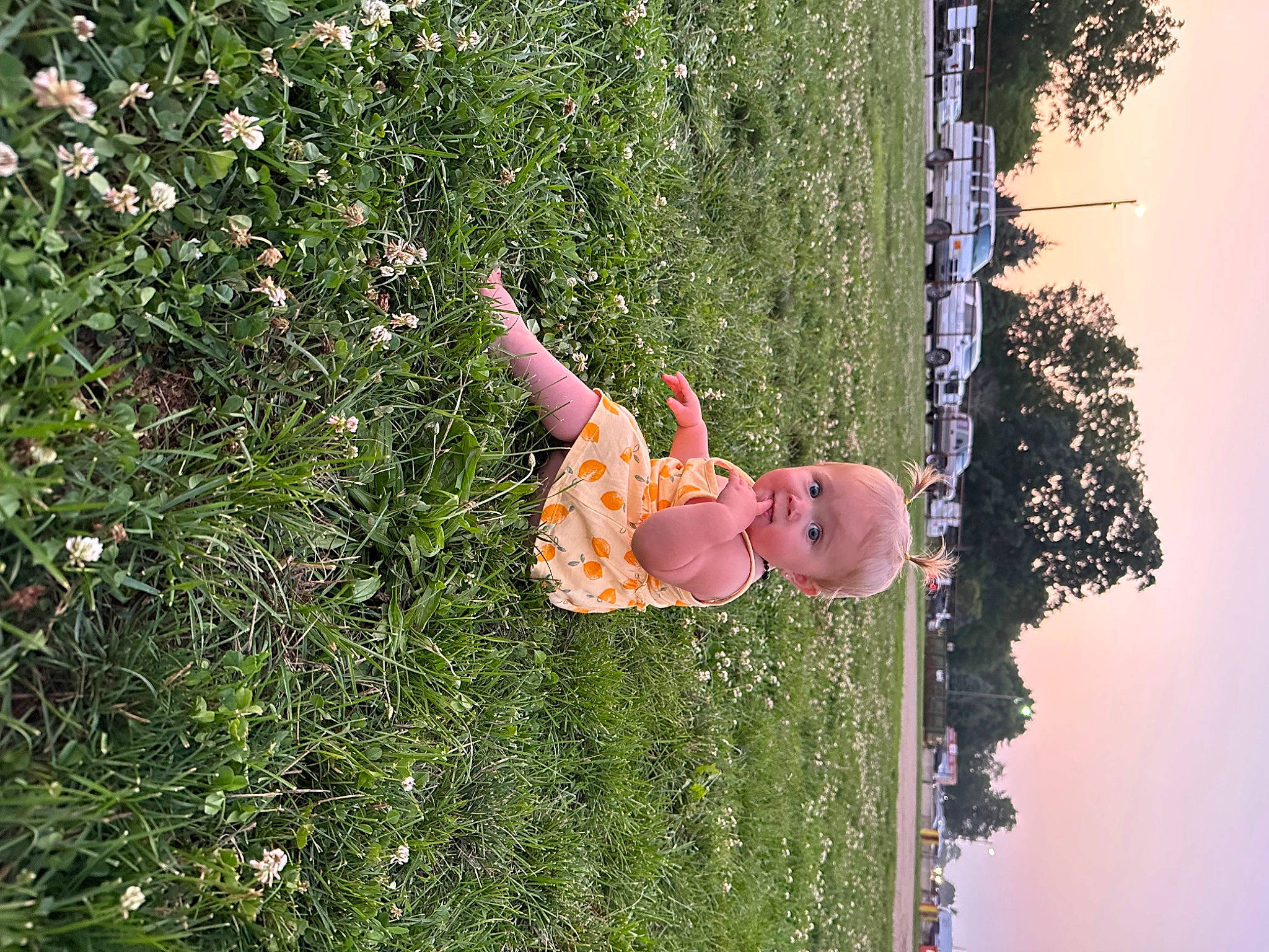 Rayleigh is registered to the contest to win money with this photo: baby, child, flower, flowering_plant, fun, garden, grass, groundcover, happy, lawn_ornament, leisure, people_in_nature, person, plant, shrub, sky, toddler, tree, water, yard