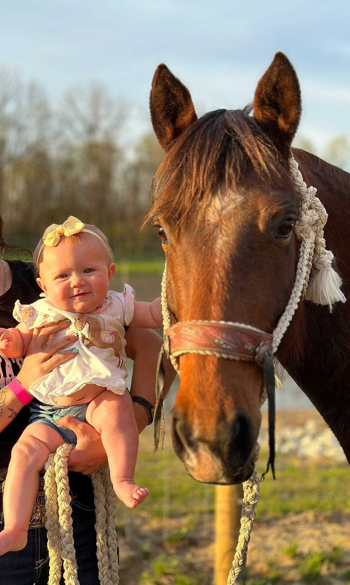Rayleigh is registered to the contest to win money with this photo: bridle, grass, grassland, happy, horse, horse_supplies, horse_tack, joy, landscape, liver, livestock, mane, pack_animal, people_in_nature, person, rein, sky, snout, sorrel, toddler