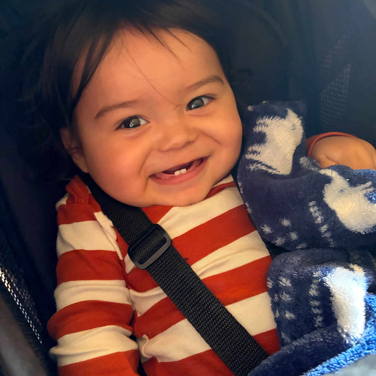 Alexander is registered to the contest to win money with this photo: toddler, child, smile, teeth, car_seat, seatbelt, striped_shirt, blanket, blue_blanket, happy, face, person, indoors, cute, young_child, clothing, baby, sitting, comfort, expression