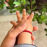 Alexander joined the competition — help win amazing prizes! adult_hand, blurred_background, branch, care, child_hand, close_up, connection, fingers, gesture, green_leaves, growth, holding_hands, nature, outdoor, plant, red_bracelet, skin, striped_sleeve, tenderness, touch