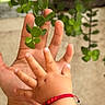 Alexander is registered to the contest to win money with this photo: adult_hand, blurred_background, bond, bracelet, child_hand, close_up, connection, fingers, green_leaves, growth, hand, nature, outdoor, plant, red_bracelet, skin, striped_sleeve, tender, touching, young_child