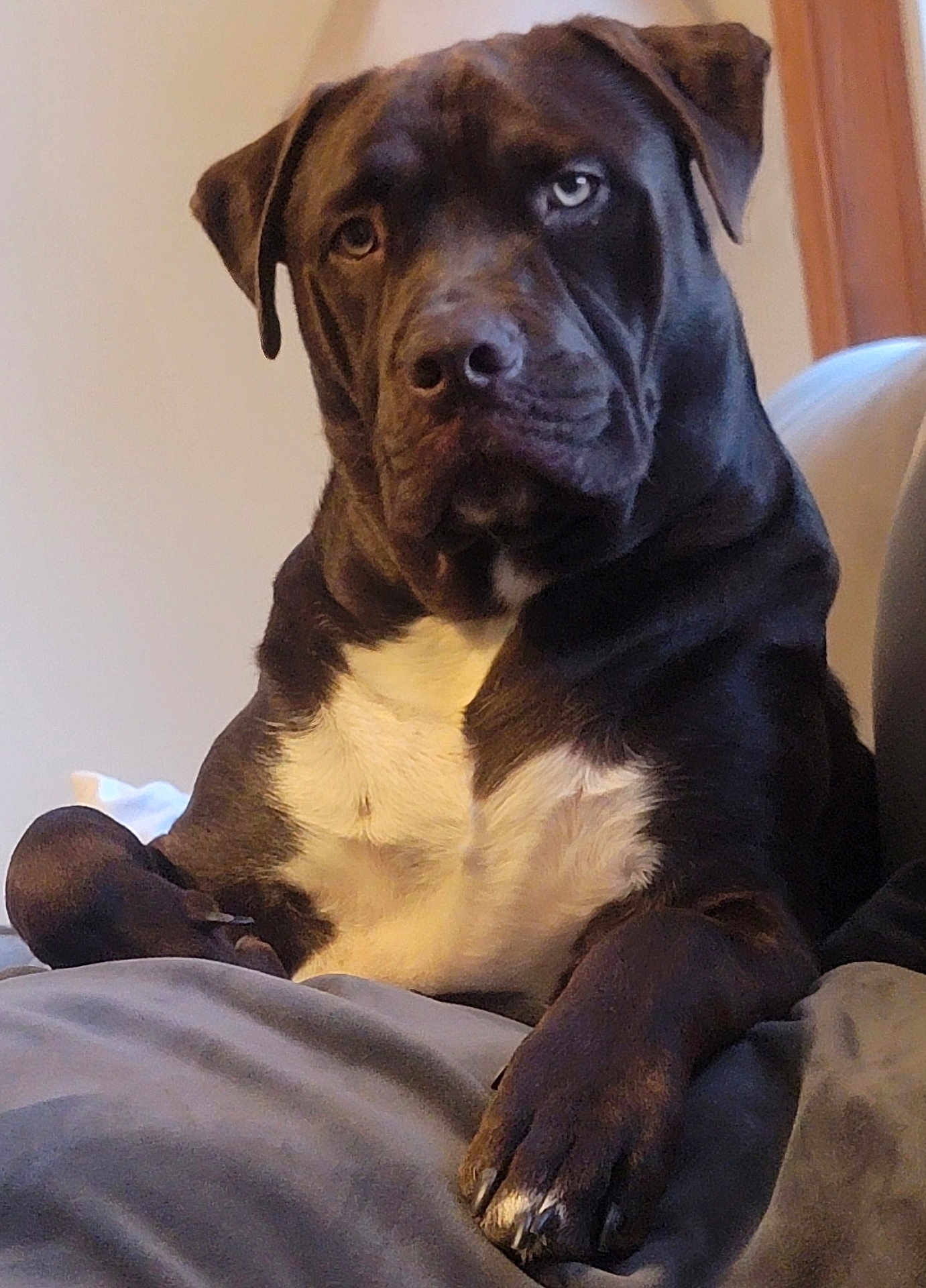 Finn