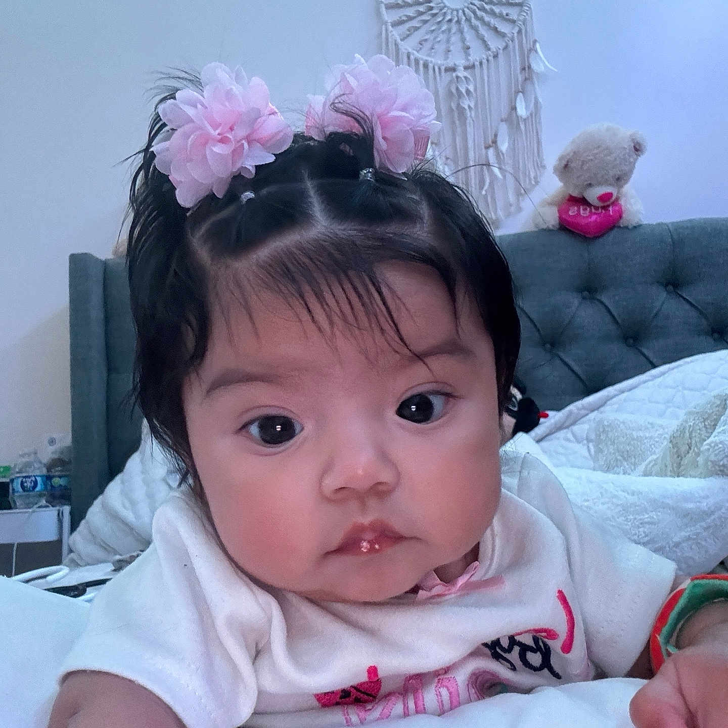 Isabella