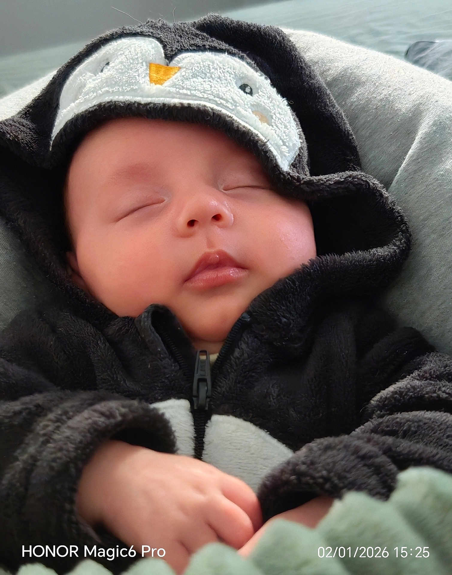 Aleck a rejoint le concours — aidez-le/la à gagner de superbes lots ! baby, sleeping, penguin_costume, hood, cute, child, infant, soft, hands, face, closed_eyes, cozy, warm, zipped_jacket, cuddly, adorable, portrait, resting, comfort, indoor