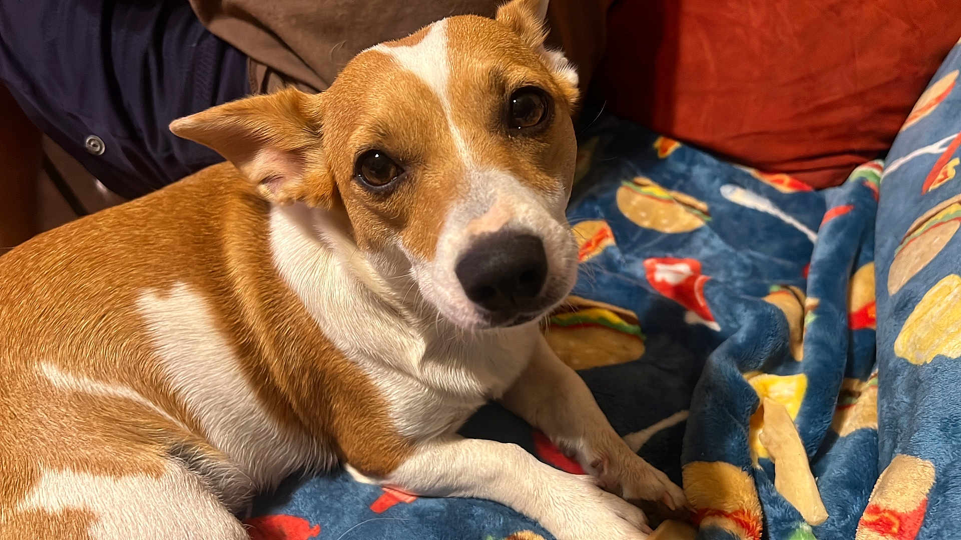 Pebbles