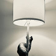 Tamako joined the competition — help win amazing prizes! sphynx_cat, cat, lamp, lighting, shadow, indoor, hairless_cat, curious, wall, floor_lamp, animal, pet, feline, home, minimalist, monochrome, black_and_white, texture, tail, ears