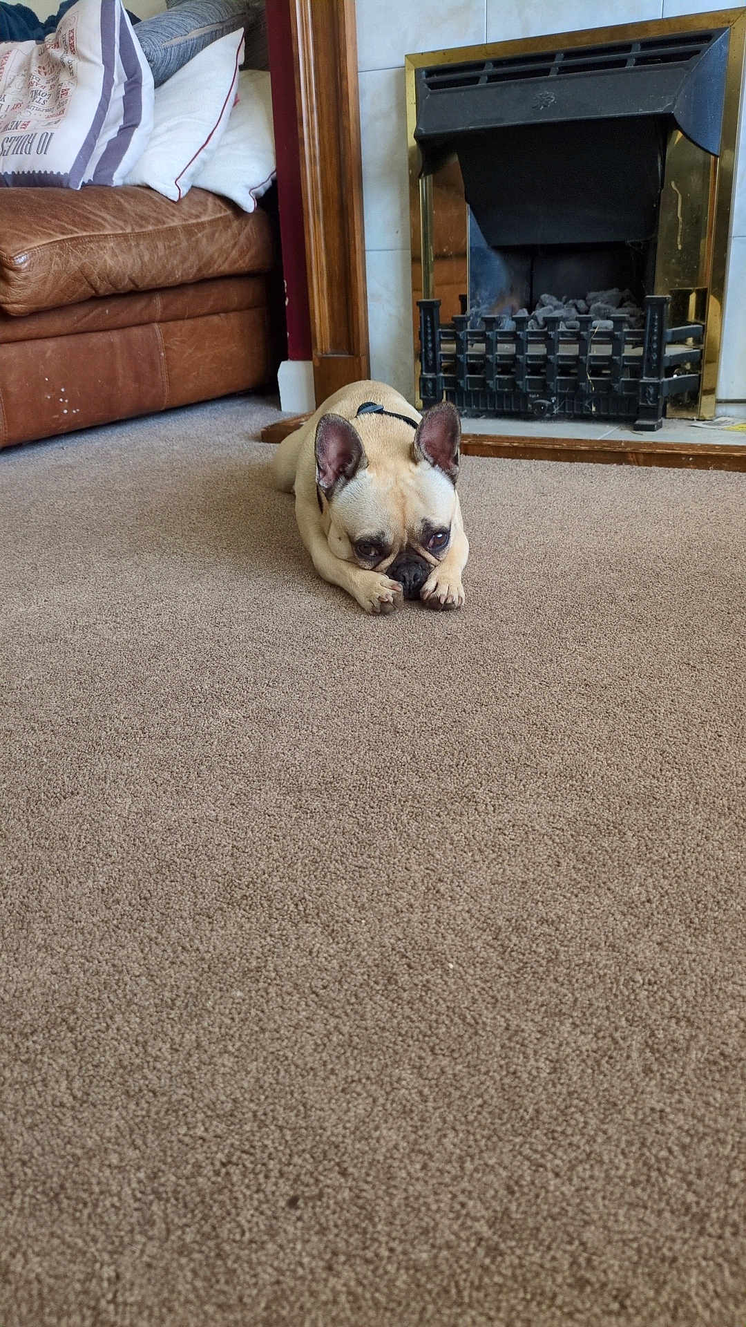 Luna