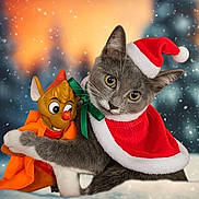 Luna a rejoint le concours — aidez-le/la à gagner de superbes lots ! animal, background_blur, cape, cat, celebration, christmas, christmas_decor, costume, cute, festive, gray_cat, holiday, outdoor, santa_hat, seasonal, snow, snowfall, snowy, toy_mouse, winter