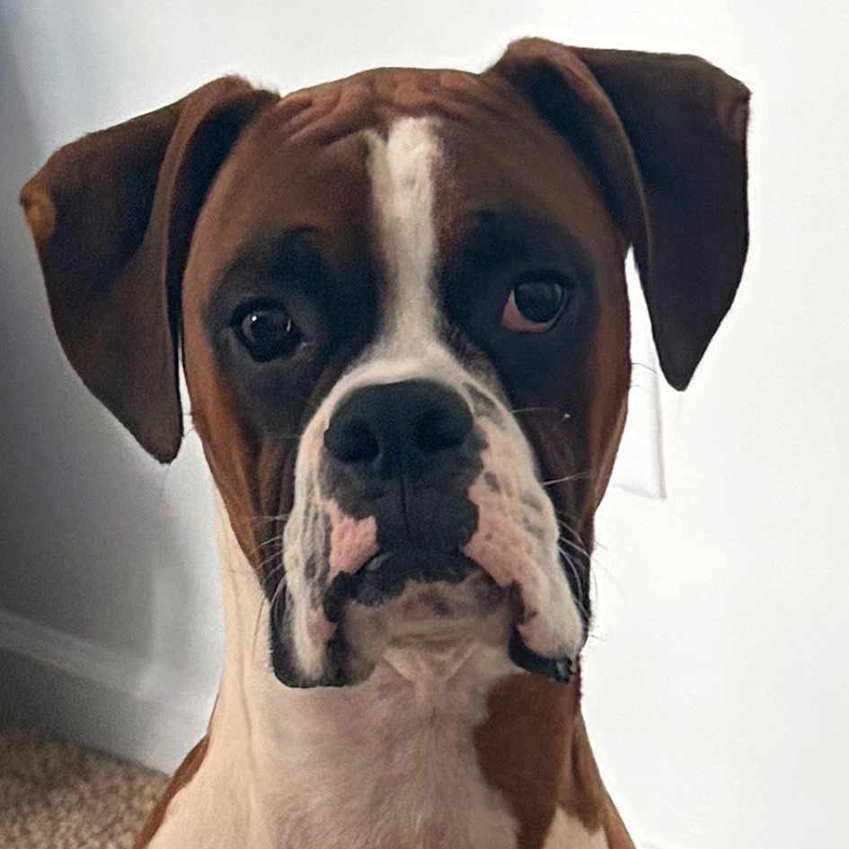 Archie
