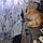 Oggy