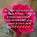 Fleurs B.