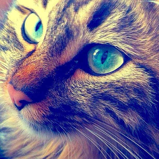 Pilou a rejoint le concours — aidez-le/la à gagner de superbes lots !