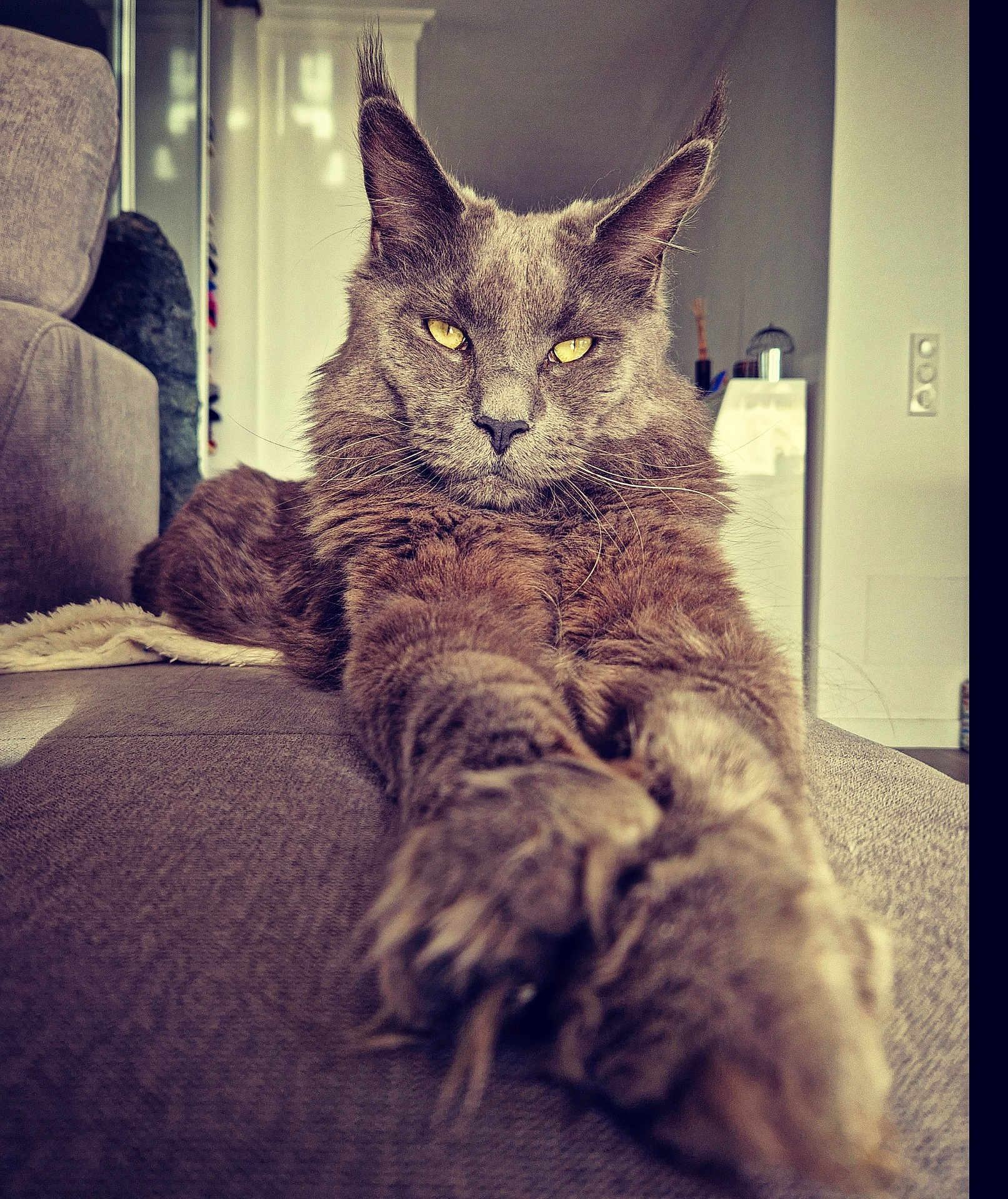 Simba