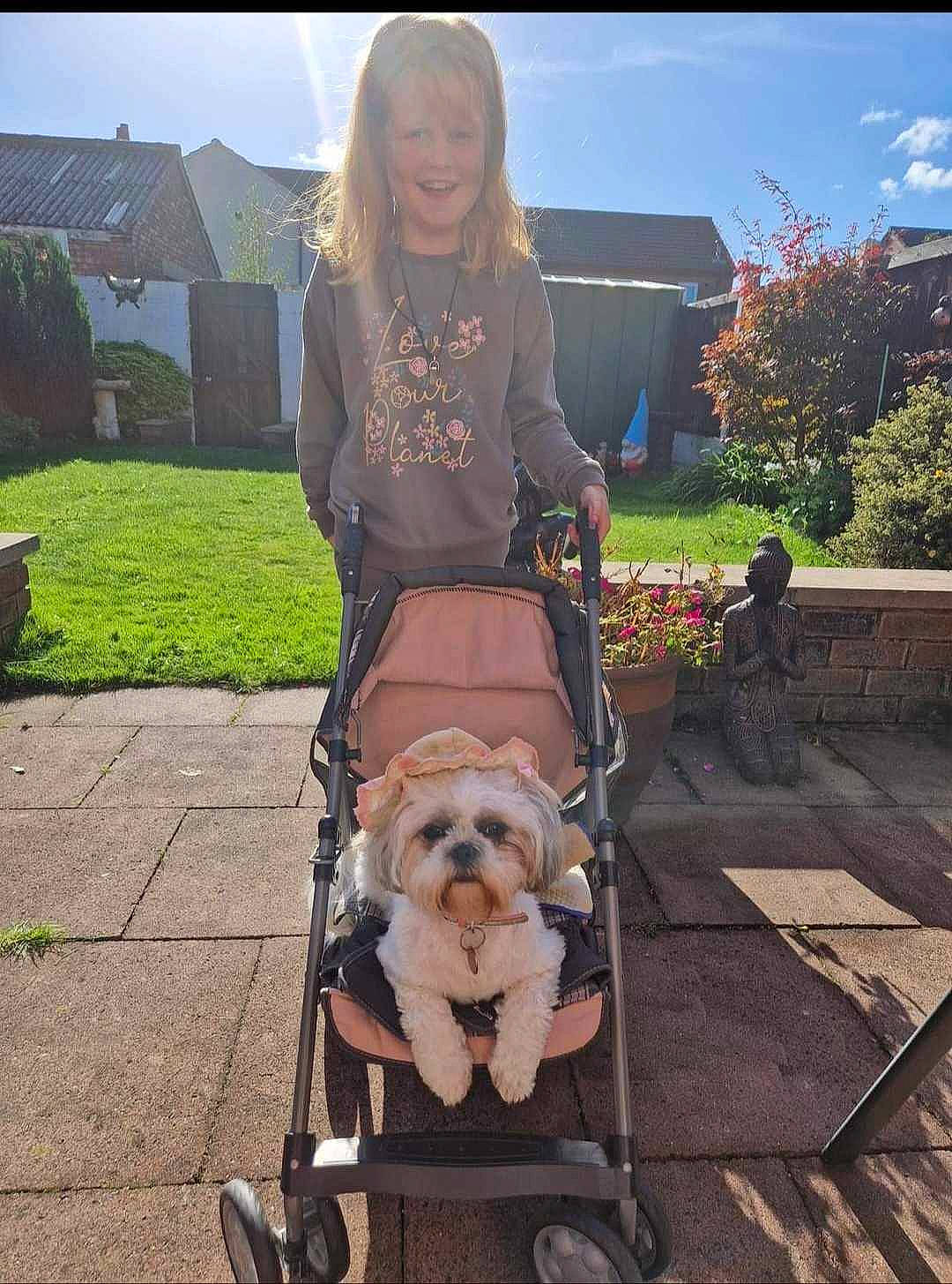 Lilly joined the competition — help win amazing prizes! baby_carriage, baby_products, bag, canidae, carnivore, companion_dog, dog, dog_breed, dog_walking, fashion_accessory, fawn, grass, leash, leisure, plant, sidewalk, sitting, sky, sporting_group, working_animal