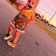 Oaklynn is registered to the contest to win money with this photo: toddler, child, street, sunset, sky, sneakers, yellow, dress, leopard_print, sunflowers, playing, outdoor, grass, trees, sidewalk, person, cute, fashion, hair_tie, daylight