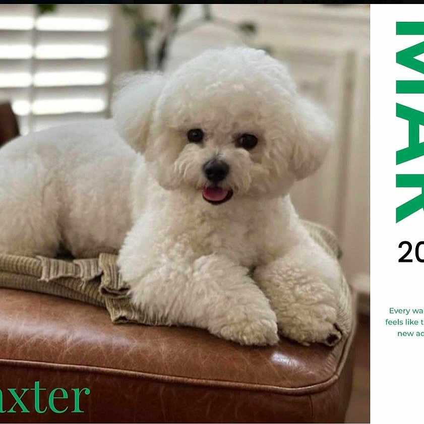 Baxter