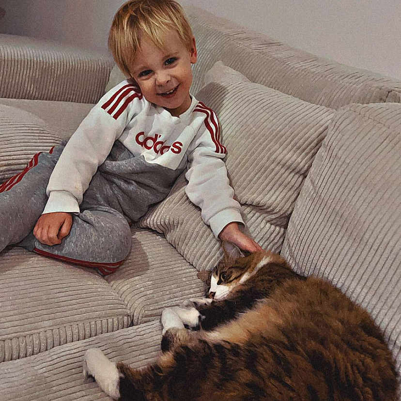 Louis participe au concours pour gagner de l'argent avec cette photo : blond_hair, boy, casual_clothing, cat, child, couch, cozy, domestic_animal, feline, friendship, furniture, happy, home, indoor, petting, plush, relaxed, smiling, sofa, sporty_outfit
