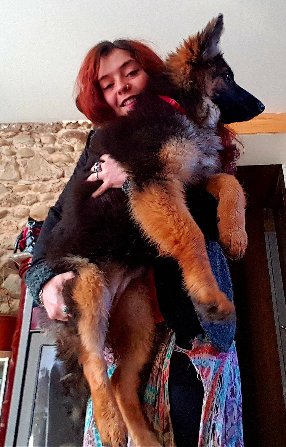 Thaïma participe au concours pour gagner de l'argent avec cette photo : canidae, companion_dog, costume, dog_breed, fawn, flesh, fun, fur, fur_clothing, gesture, guard_dog, human_leg, landscape, natural_material, sky, smile, snout, sporting_group, stuffed_toy, thigh