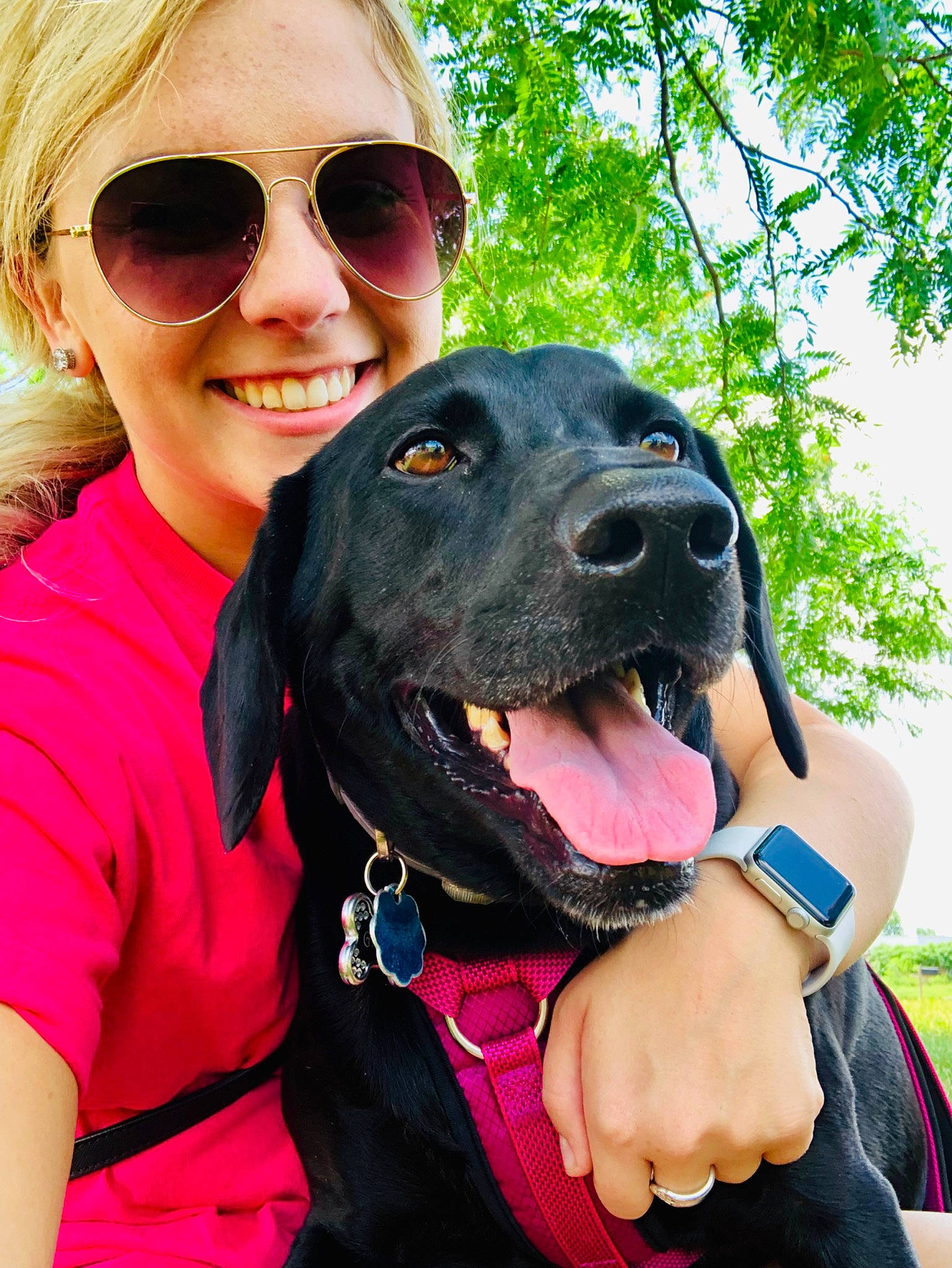 Gracie Lou is registered to the contest to win money with this photo: canidae, carnivore, collar, companion_dog, dog, dog_breed, dog_collar, fawn, guard_dog, labrador_retriever, mammal, photography, snout, sporting_group, sunglasses, vertebrate