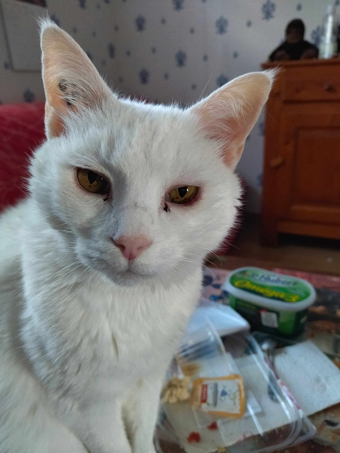 Junior