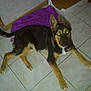 Largo participe au concours pour gagner de l'argent avec cette photo :