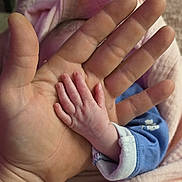 Viatriz is registered to the contest to win money with this photo: newborn, baby, infant, hand, adult_hand, palm, fingers, family, parent, care, blue_clothing, blanket, pink_blanket, close_up, tender, portrait, indoors, soft_lighting, photography, camera_watermark