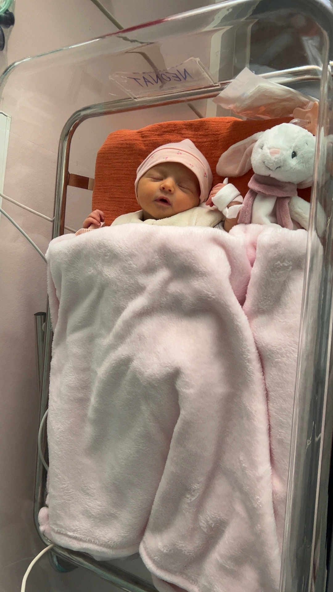 Valentine participe au concours pour gagner de l'argent avec cette photo : newborn, baby, hospital, crib, bassinet, blanket, pink, hat, sleeping, plush_toy, bunny, soft, cozy, infant, child, resting, indoor, medical, cute, peaceful