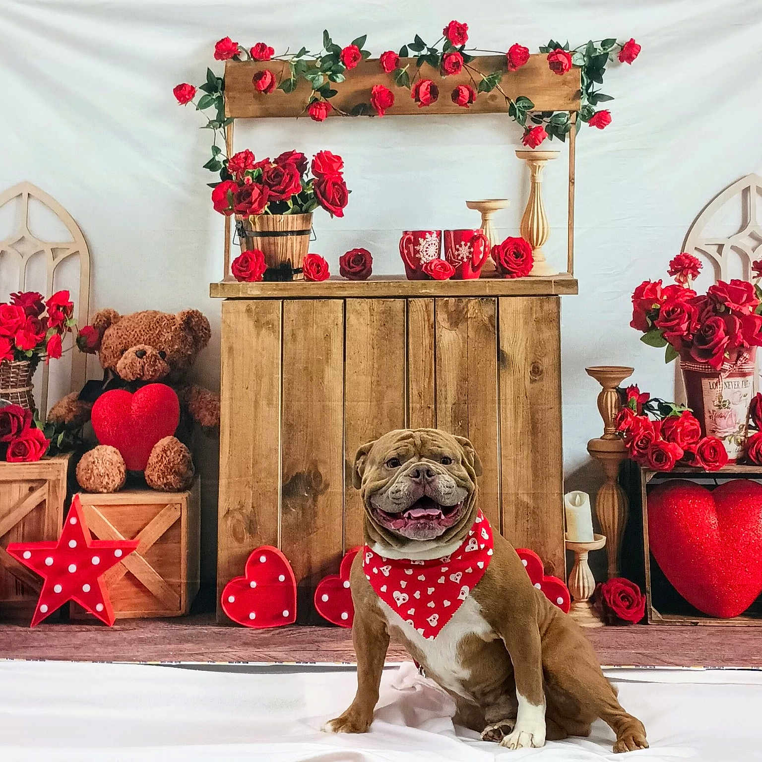 Meatball joined the competition — help win amazing prizes! animal, bulldog, canine, christmas, christmasdecorations, christmastree, dog, festival, flower, hardwood, indoors, interiordesign, pet, plant, rose, stainedwood, symbol, teddybear, toy, wood