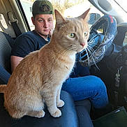 Everest is registered to the contest to win money with this photo: cap, car_interior, cat, center_console, close_up, curious, dashboard, feline, ginger_cat, jeans, keys, person, pet, portrait, seat, steering_wheel, sunlight, whiskers, window, young_man