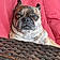 Rocko