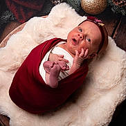 Rose a rejoint le concours — aidez-le/la à gagner de superbes lots ! newborn, baby, infant, wrapped, blanket, wooden_bowl, headband, floral, red_cloth, cream_blanket, holiday_decor, pine_cones, ornaments, cute, portrait, indoors, soft_texture, small_feet, curious_expression, lying_down