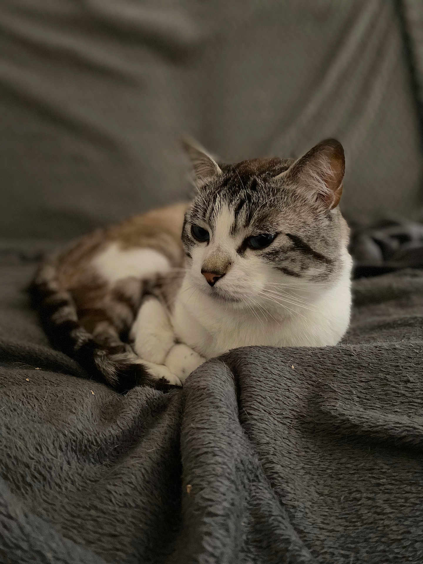 Olaf