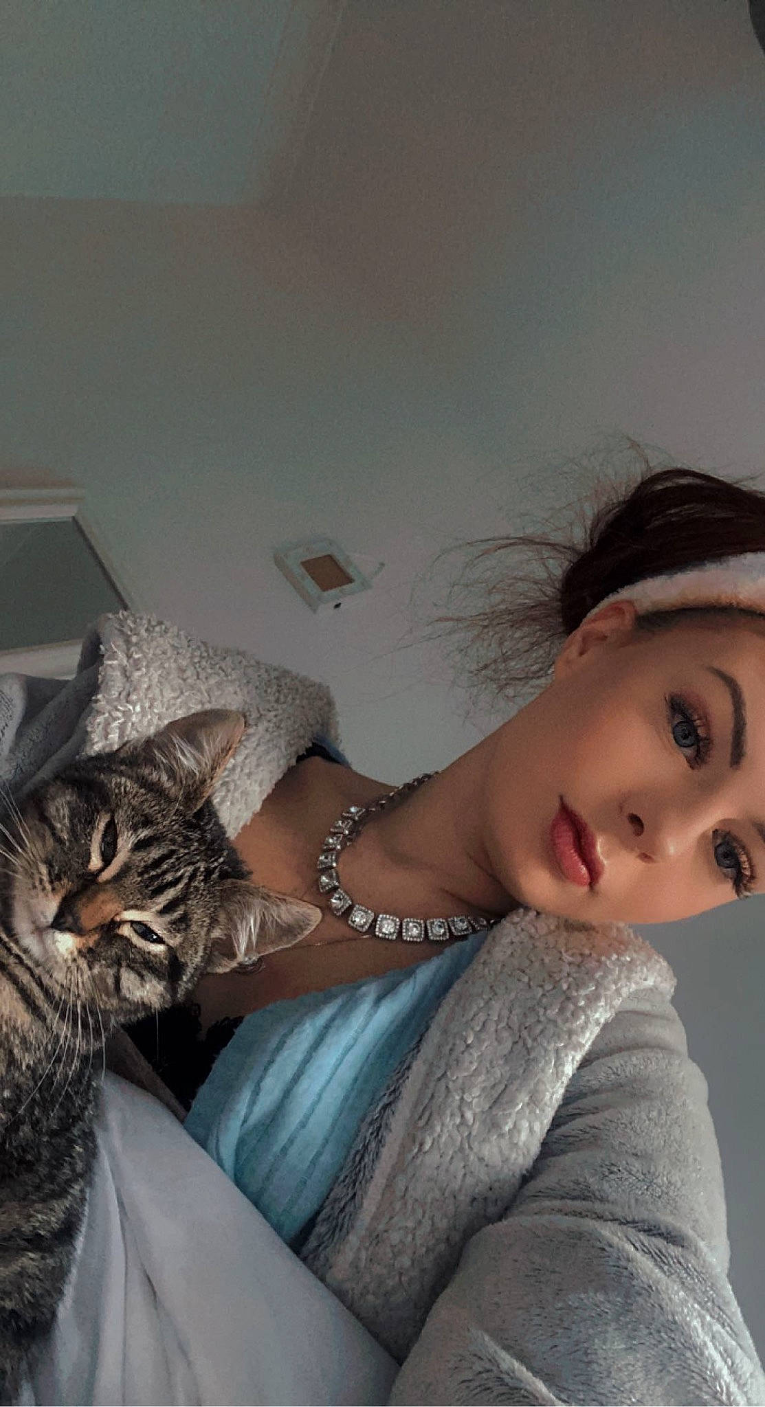 Destiny is registered to the contest to win money with this photo: bed, carnivore, cat, comfort, couch, domestic_short_haired_cat, eyelash, eyewear, fashion_design, felidae, flash_photography, fur, gesture, jewellery, joint, linens, neck, shoulder, small_to_medium_sized_cats, whiskers