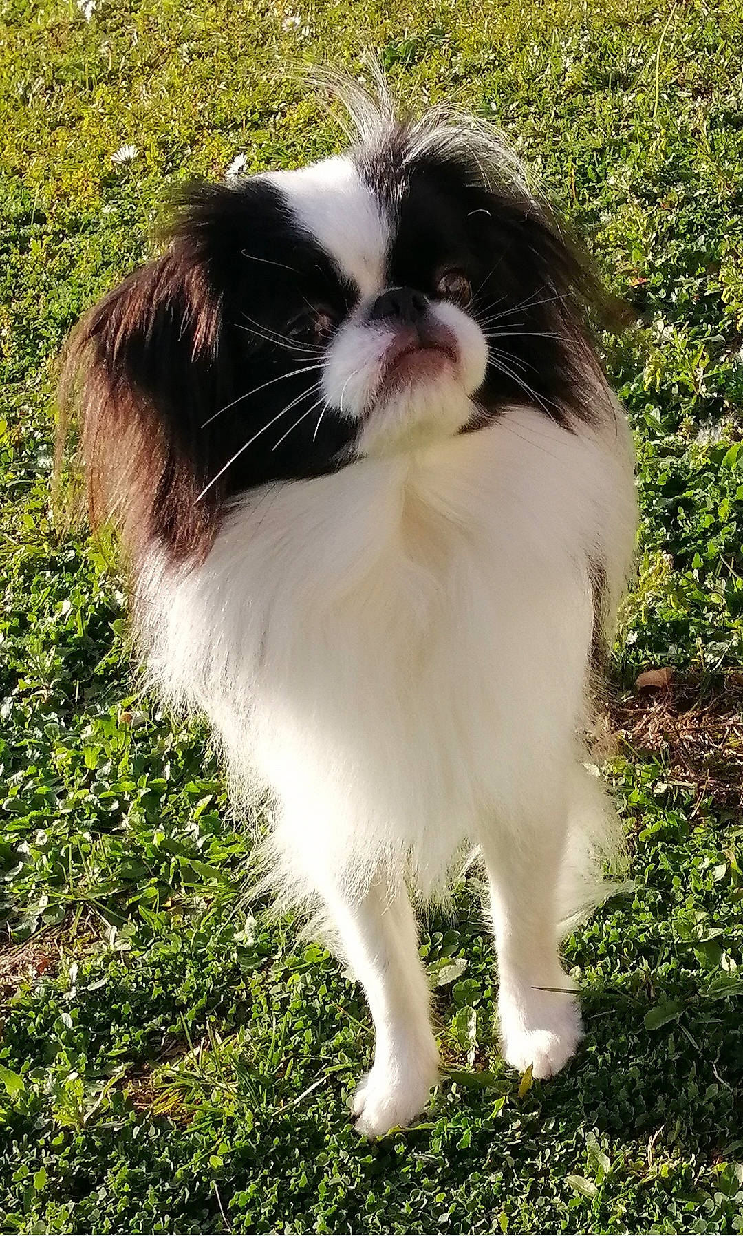 Tomio De La Baie De Pempoul