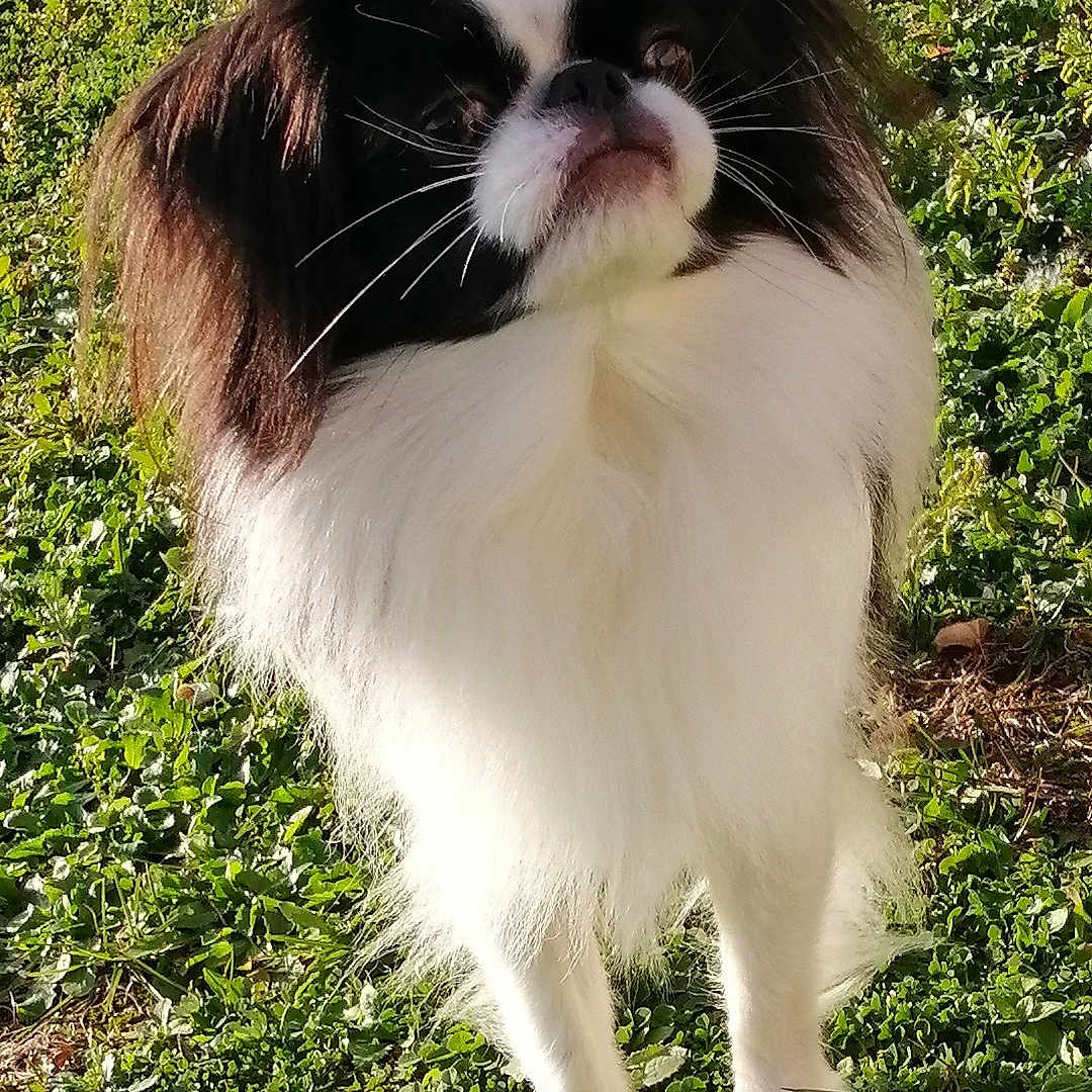 Tomio De La Baie De Pempoul