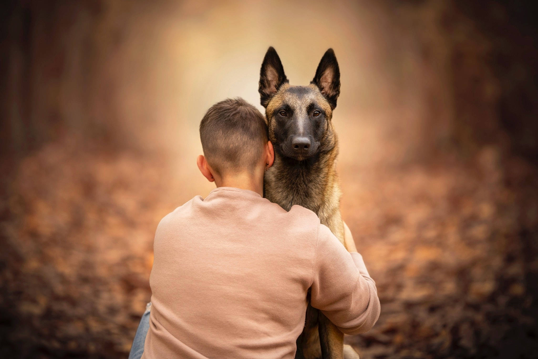 Riley a rejoint le concours — aidez-le/la à gagner de superbes lots ! canidae, carnivore, companion_dog, darkness, dog, dog_breed, event, fawn, flash_photography, happy, night, snout, sporting_group, t_shirt, terrestrial_animal, wood, working_dog