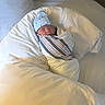 Amari is registered to the contest to win money with this photo: newborn, baby, sleeping, wrapped, blanket, blue_hat, bed, pillow, white_bedding, infant, cozy, hospital_blanket, peaceful, cute, child, indoors, soft_light, portrait, resting, swaddled