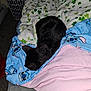 animal, bed, black_cat, blanket, cat, colorful, comfort, cozy, fabric, fur, indoor, nap, pet, quilt, resting, shamrock_pattern, sleeping, soft, stitch_character, warm