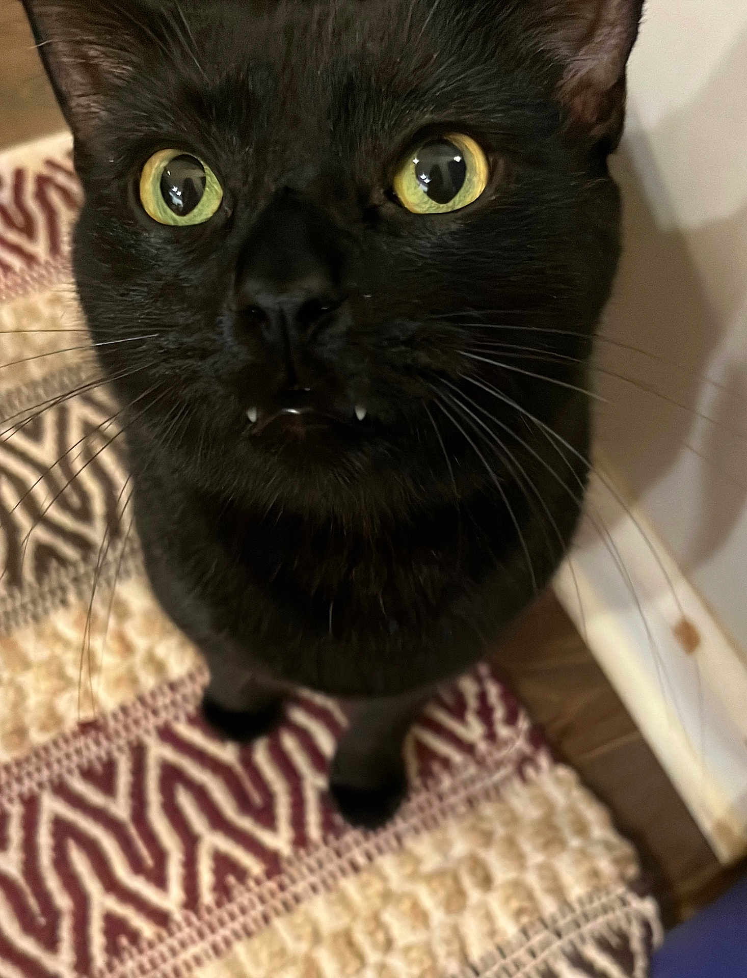 Binx