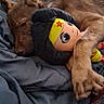 dog, plush_toy, bed, blanket, snuggling, cozy, indoor, fur, paw, toy, stuffed_animal, resting, brown_dog, soft, comfort, sleepy, cute, animal, cuddling, relaxing