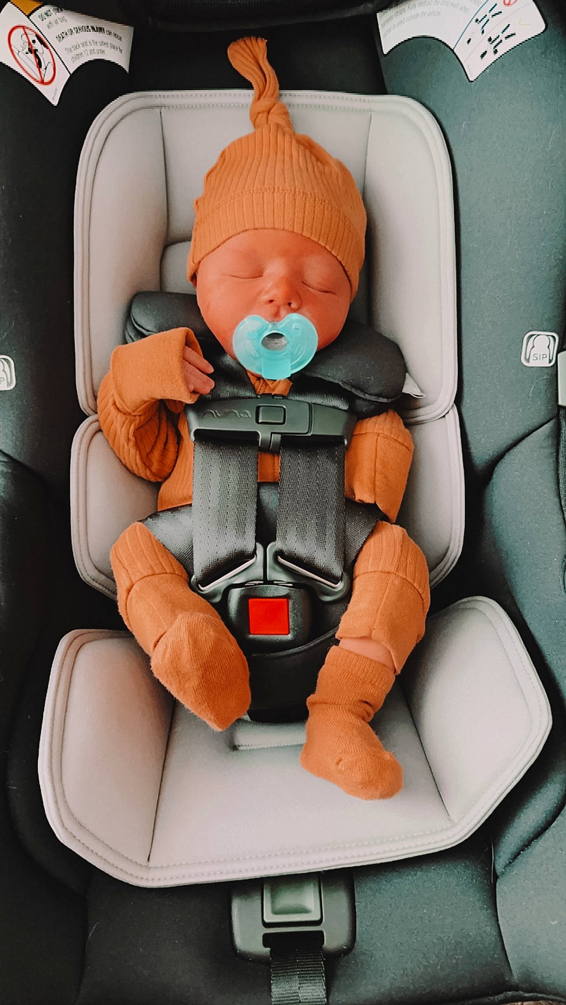 Creed is registered to the contest to win money with this photo: aircraft, airline, airplane, armrest, auto_part, baby_products, car_seat, car_seat_cover, carmine, chair, comfort, family_car, head_restraint, motor_vehicle, person, seat_belt, service, sitting, toy, window