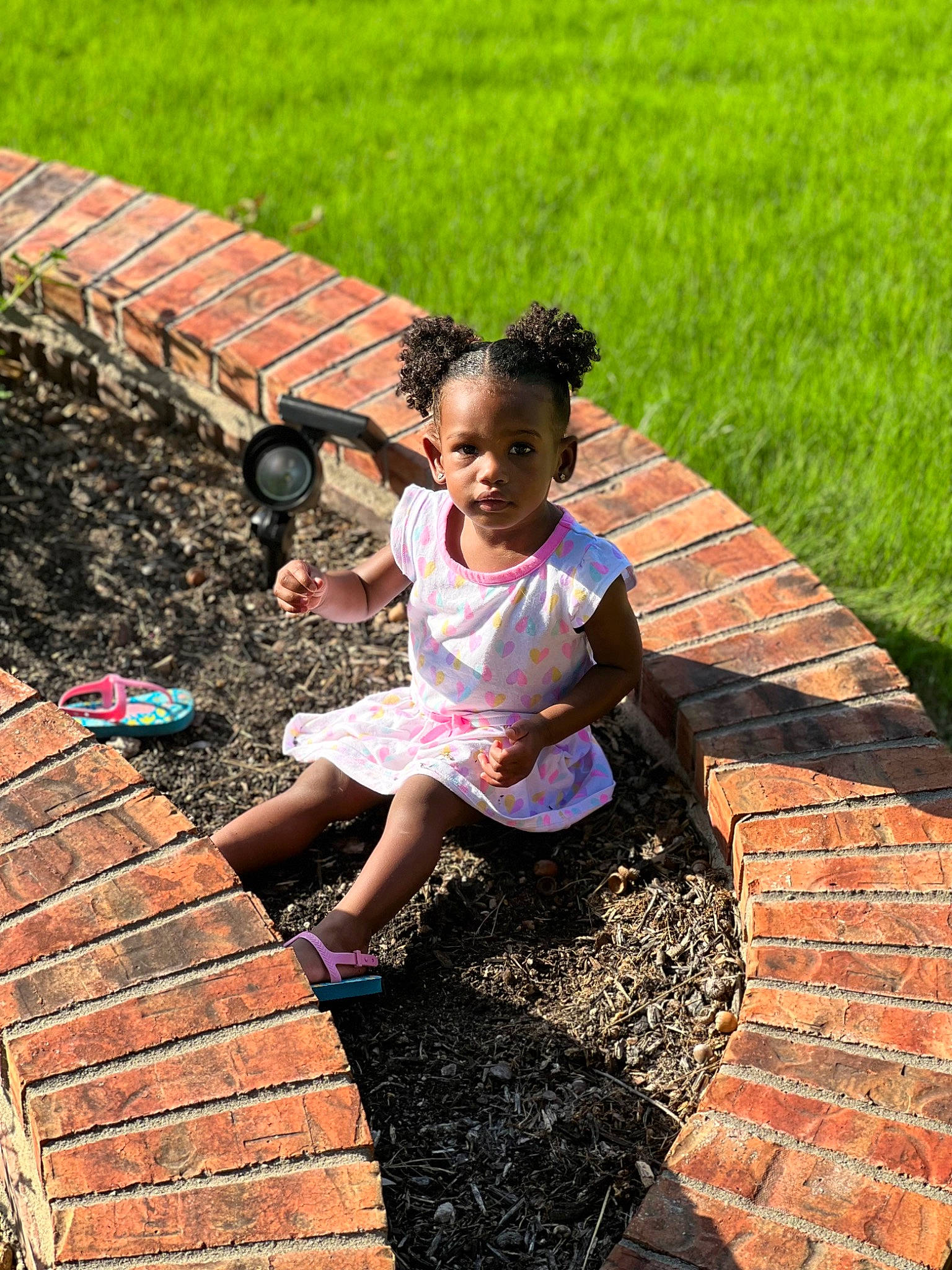 Monaè joined the competition — help win amazing prizes! adaptation, botany, child, flooring, fun, grass, green, happy, leaf, leisure, morning, people_in_nature, person, recreation, summer, sunlight, temple, thigh, toddler, wood