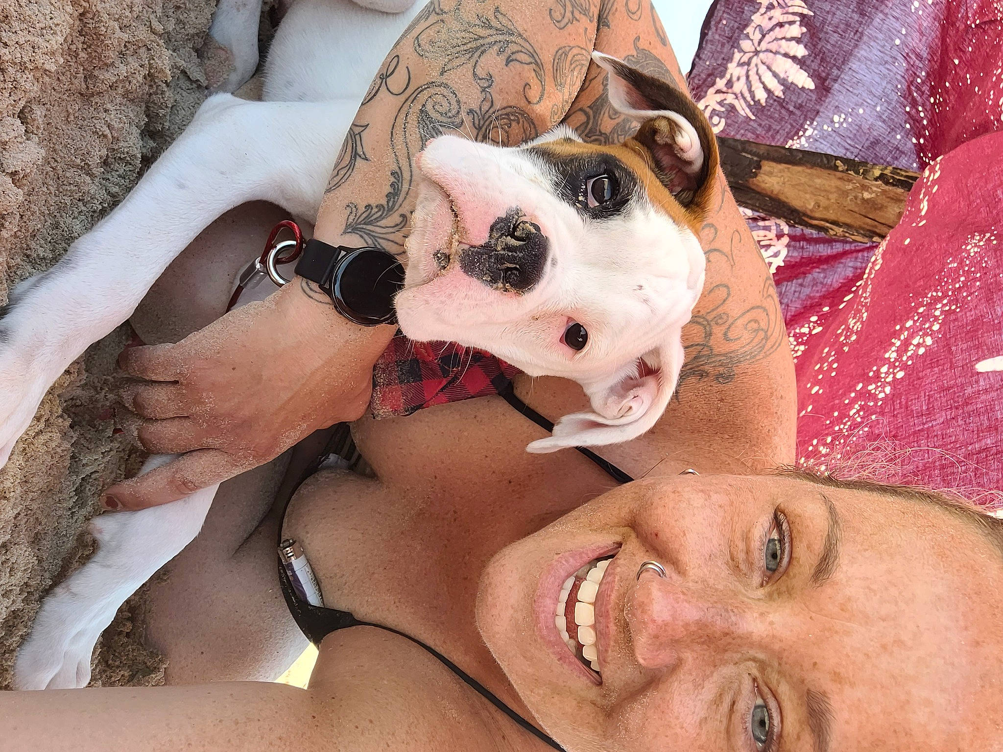 Puppy is registered to the contest to win money with this photo: carnivore, close_up, companion_dog, dog, dog_breed, eyelash, eyewear, fashion_accessory, fawn, fun, fur, goggles, happy, hat, leisure, pattern, selfie, smile, sunglasses, working_animal