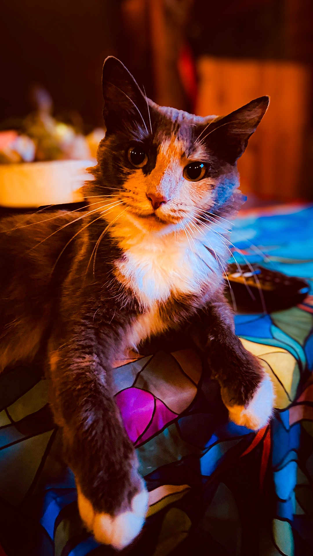 Lilybelle